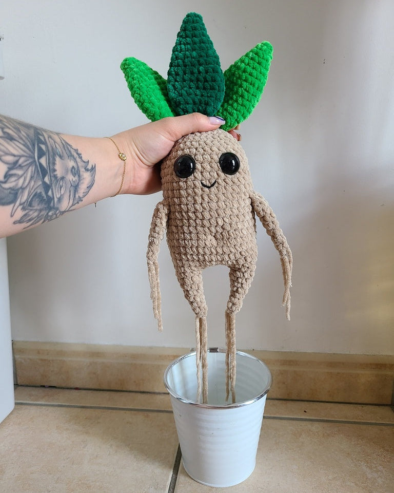 Patron Mandragore