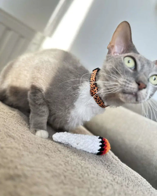 chat gris à collier, jouet joint crochet blanc, herbe à chat