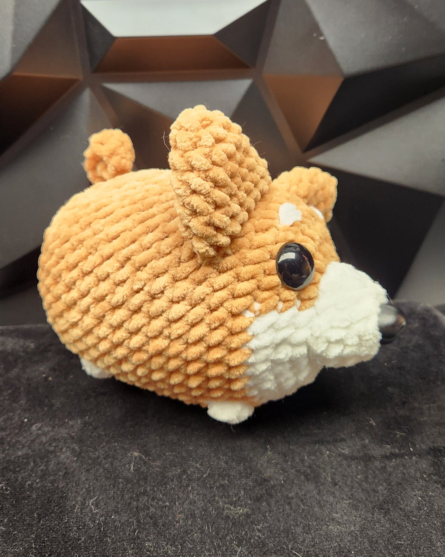 shiba tout doux en boule