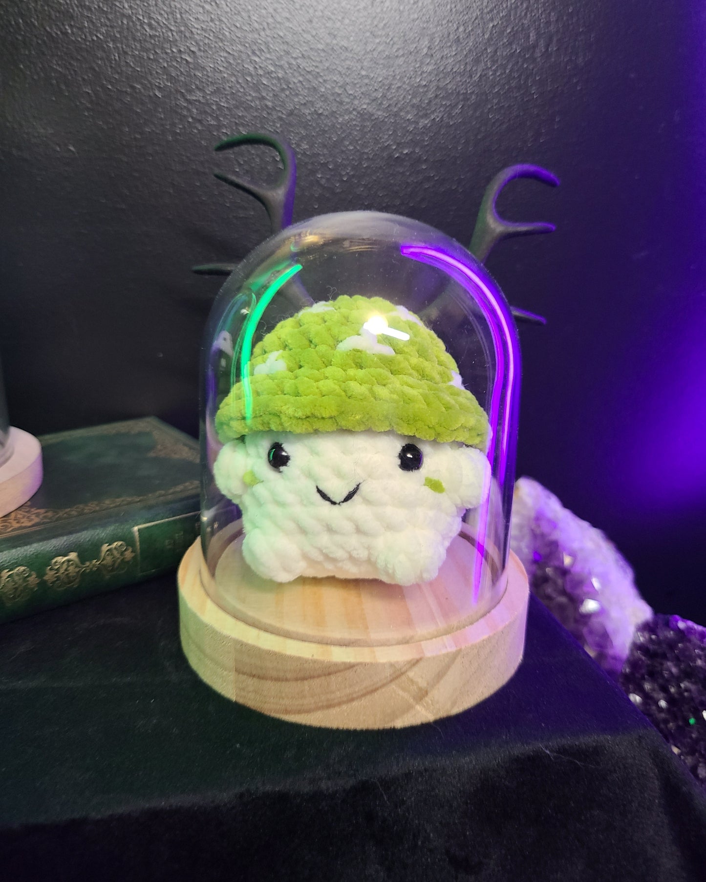 Champimignon 🍄 (adapté bébé)