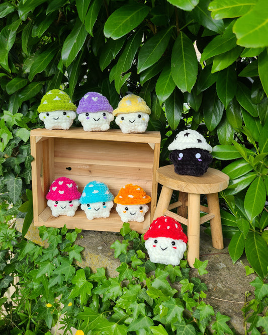 Champimignon 🍄 (adapté bébé)