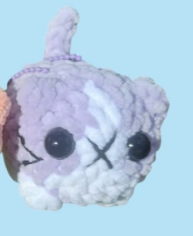 Commande personnalisée chat