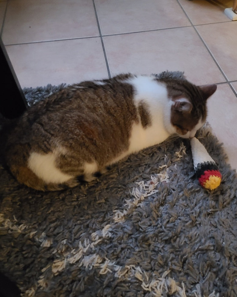 jouet pour chat au crochet avec herbe à chat, modèle joint, chat tigré jouant au sol