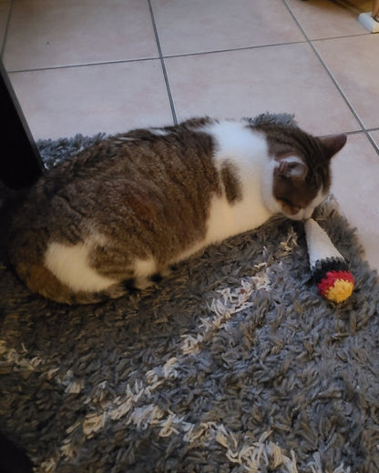 jouet pour chat au crochet avec herbe à chat, modèle joint, chat tigré jouant au sol