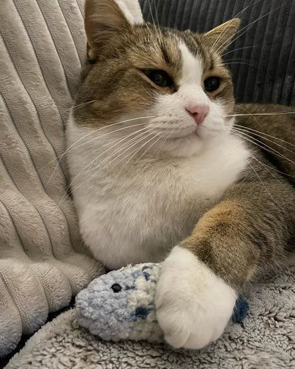 chat allongé tenant poisson crochet bleu, jouet garni de catnip