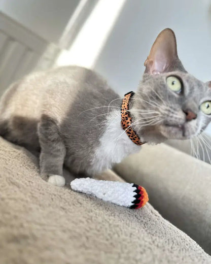chat gris à collier, jouet joint crochet blanc, herbe à chat
